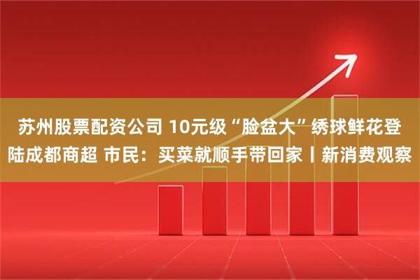 苏州股票配资公司 10元级“脸盆大”绣球鲜花登陆成都商超 市民：买菜就顺手带回家丨新消费观察