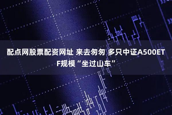 配点网股票配资网址 来去匆匆 多只中证A500ETF规模“坐过山车”