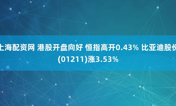 上海配资网 港股开盘向好 恒指高开0.43% 比亚迪股份(01211)涨3.53%